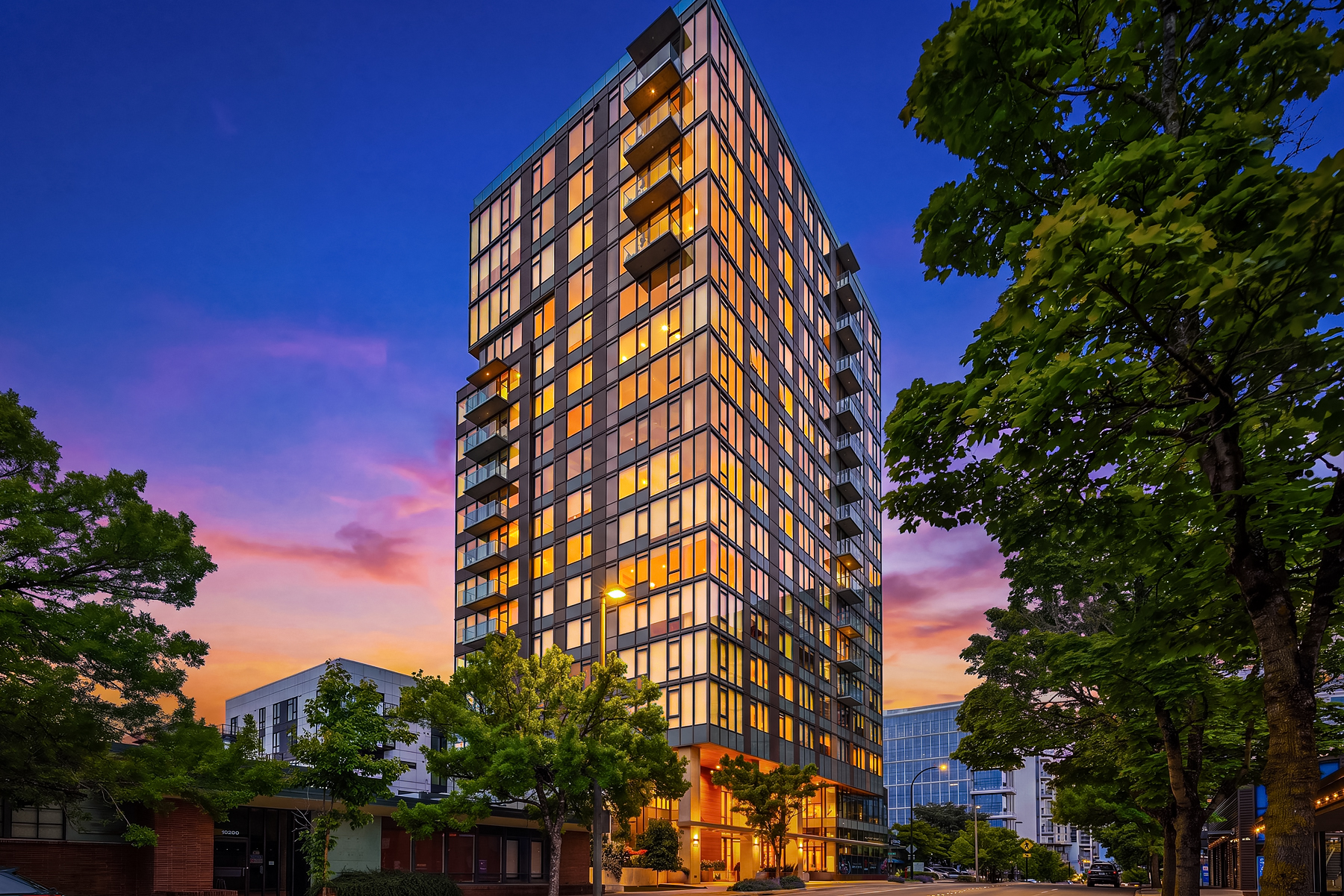 MARI rising above the tree-lined streetscape at dusk